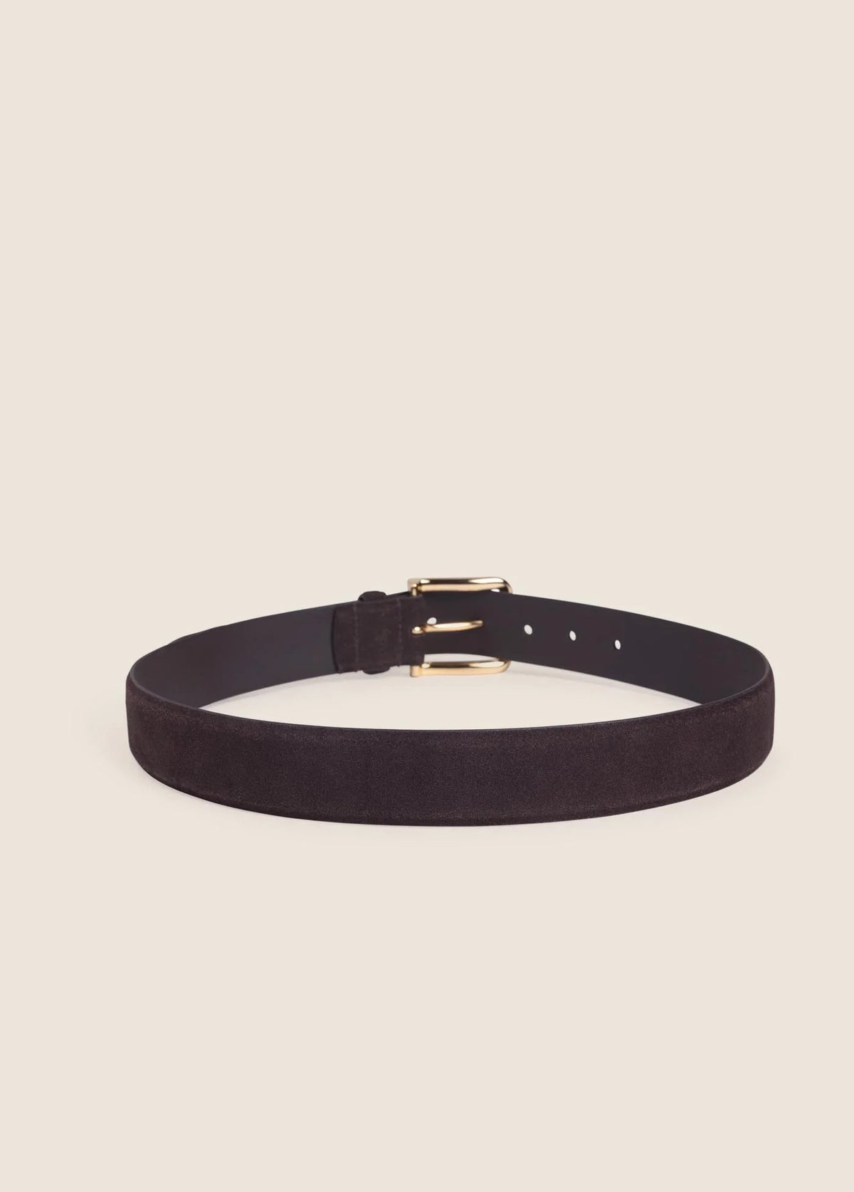 THE SUEDE HERITAGE BELT - CHOCOLATE/ANTIQUE BRAS